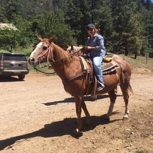 Meet your Posher, Stephanie